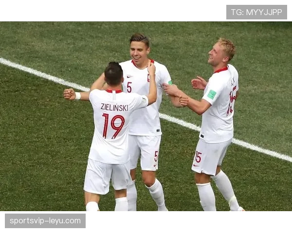 奥地利止步欧洲杯16强 2020征程画上句号